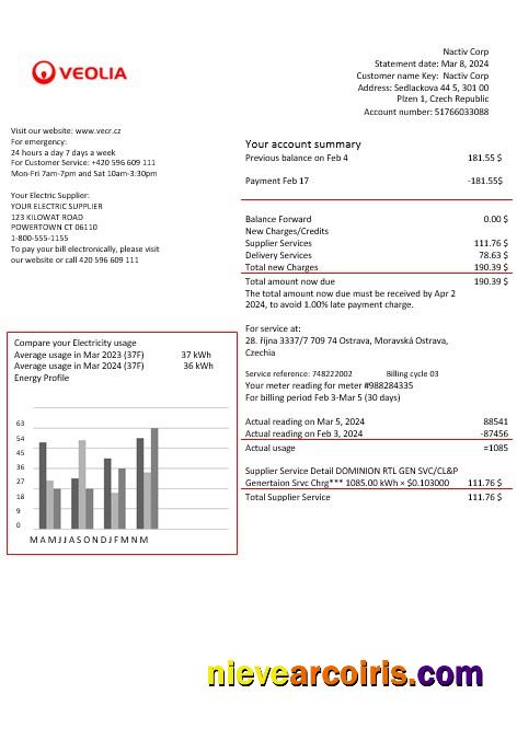 Czechia Veolia Energy Czech Republic energy business utility bill